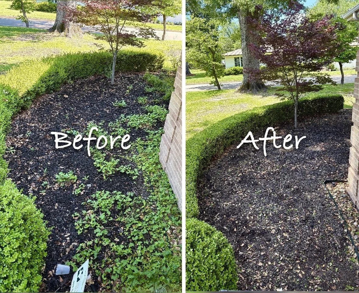 before and after of a garden bed that was de-weeded