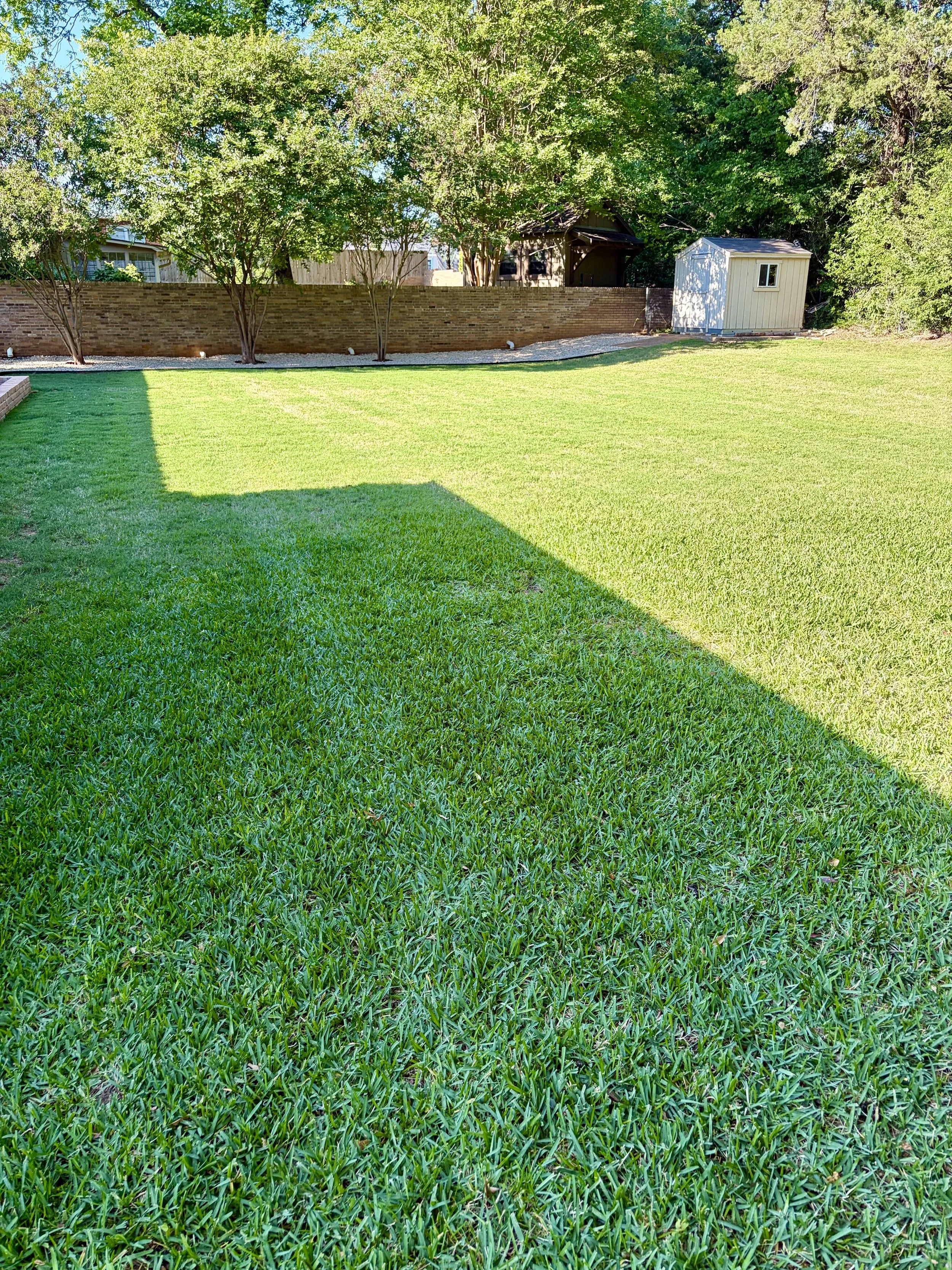 Freshly mowed lawn with sunshine and shadows