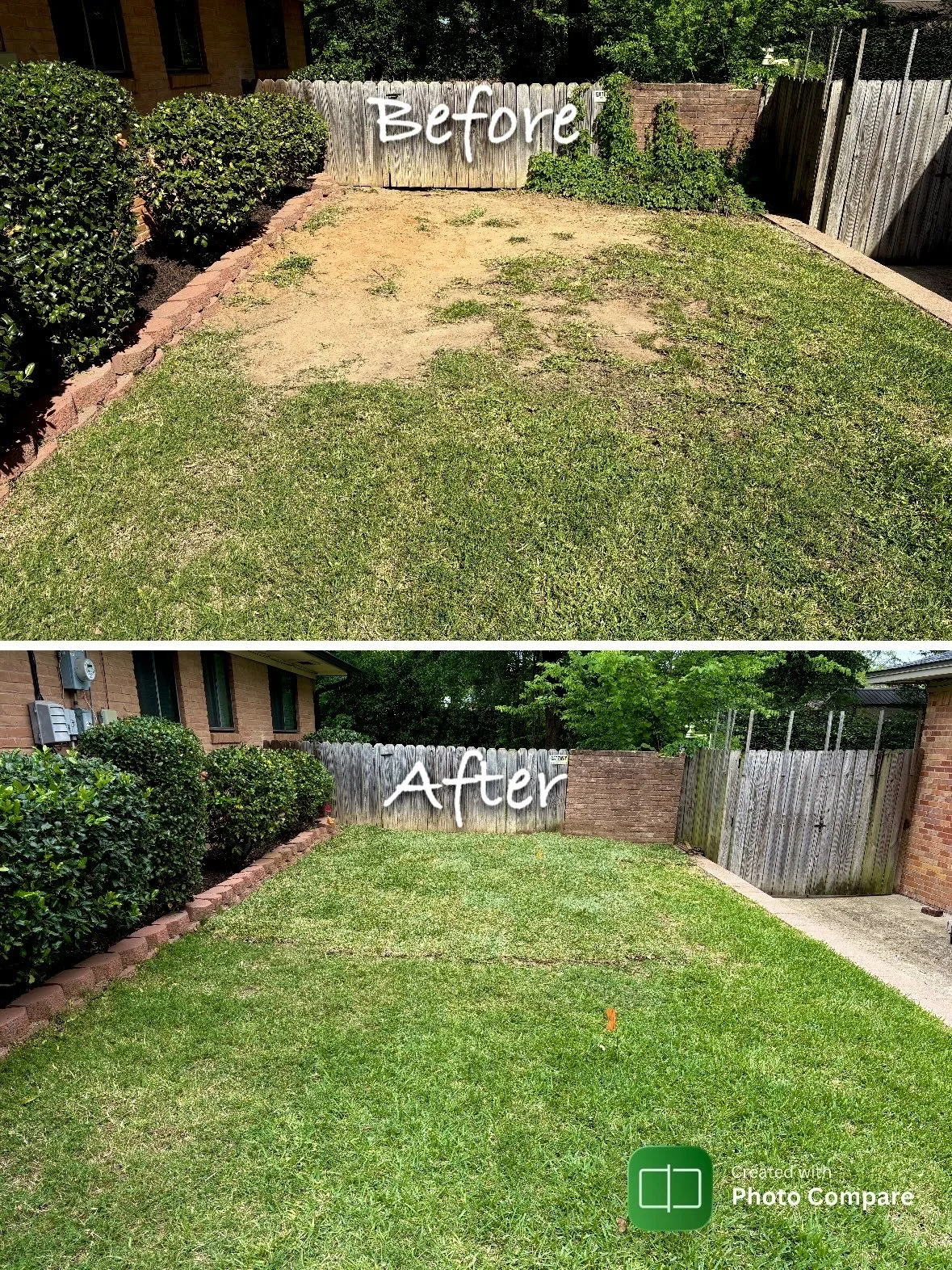 Before and after picture of sod patch up in East Texas