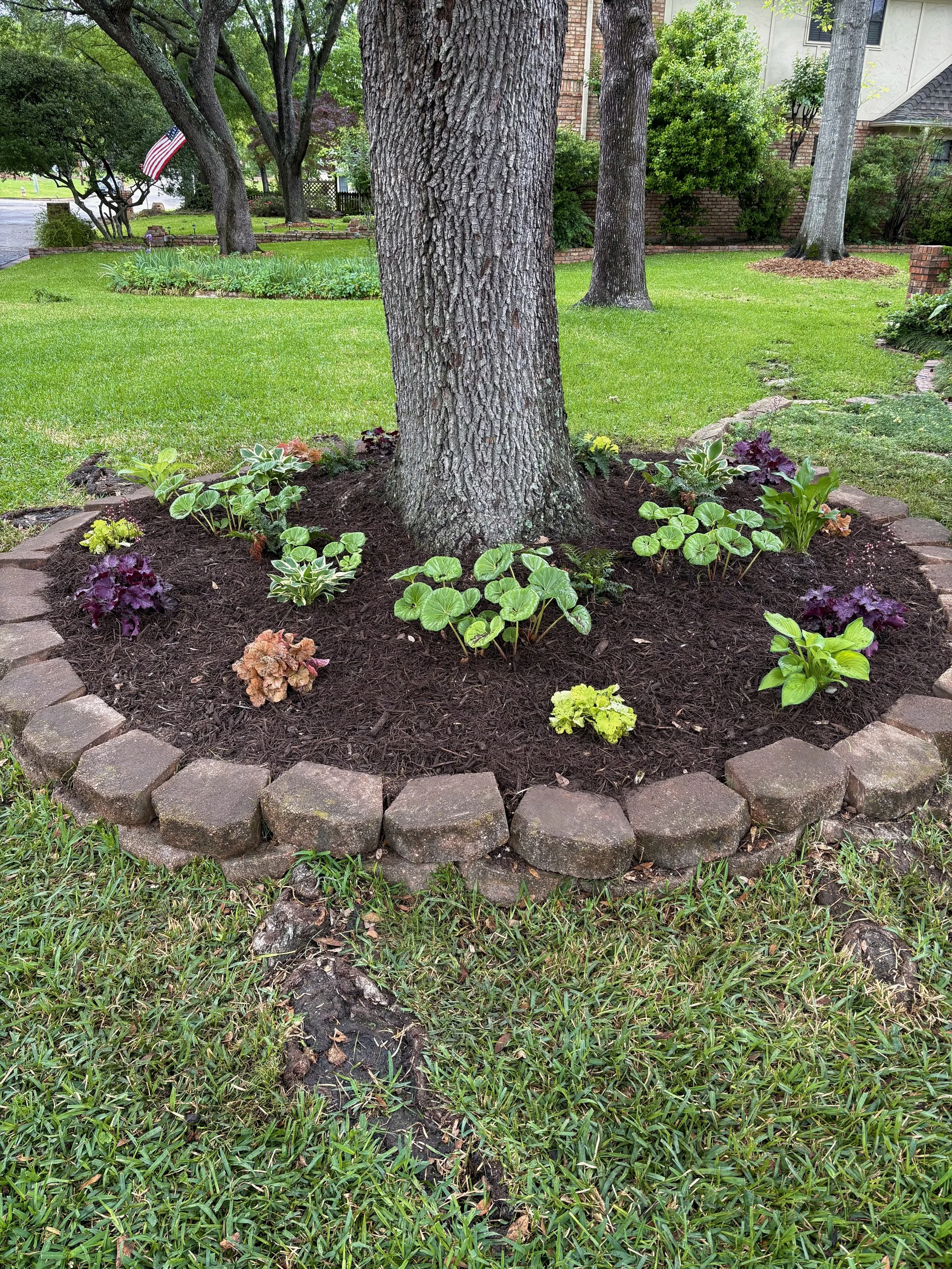 flower bed circling tree with colorful plants and fresh mulch