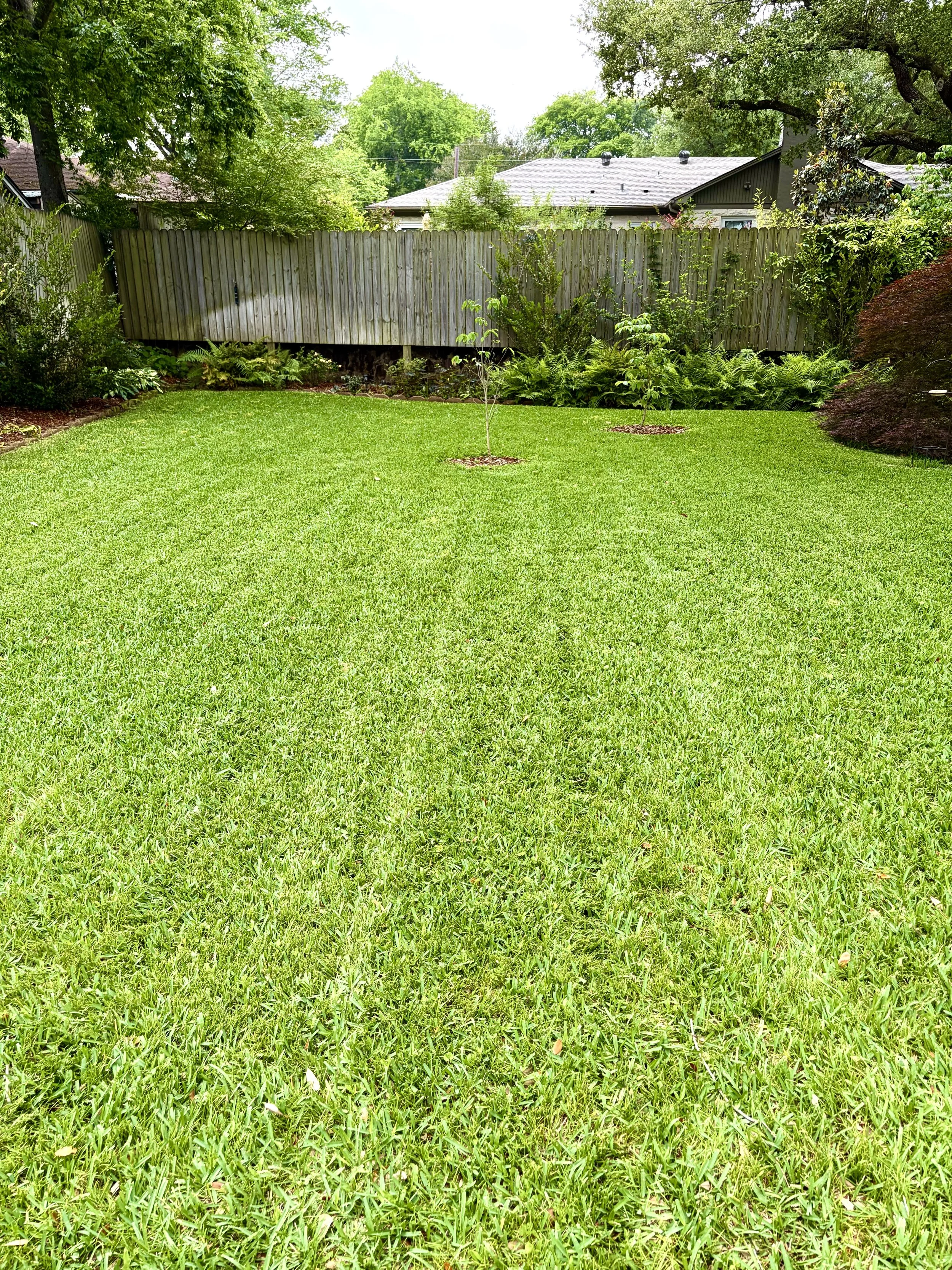 Beautiful lawn in backyard with fresh mow