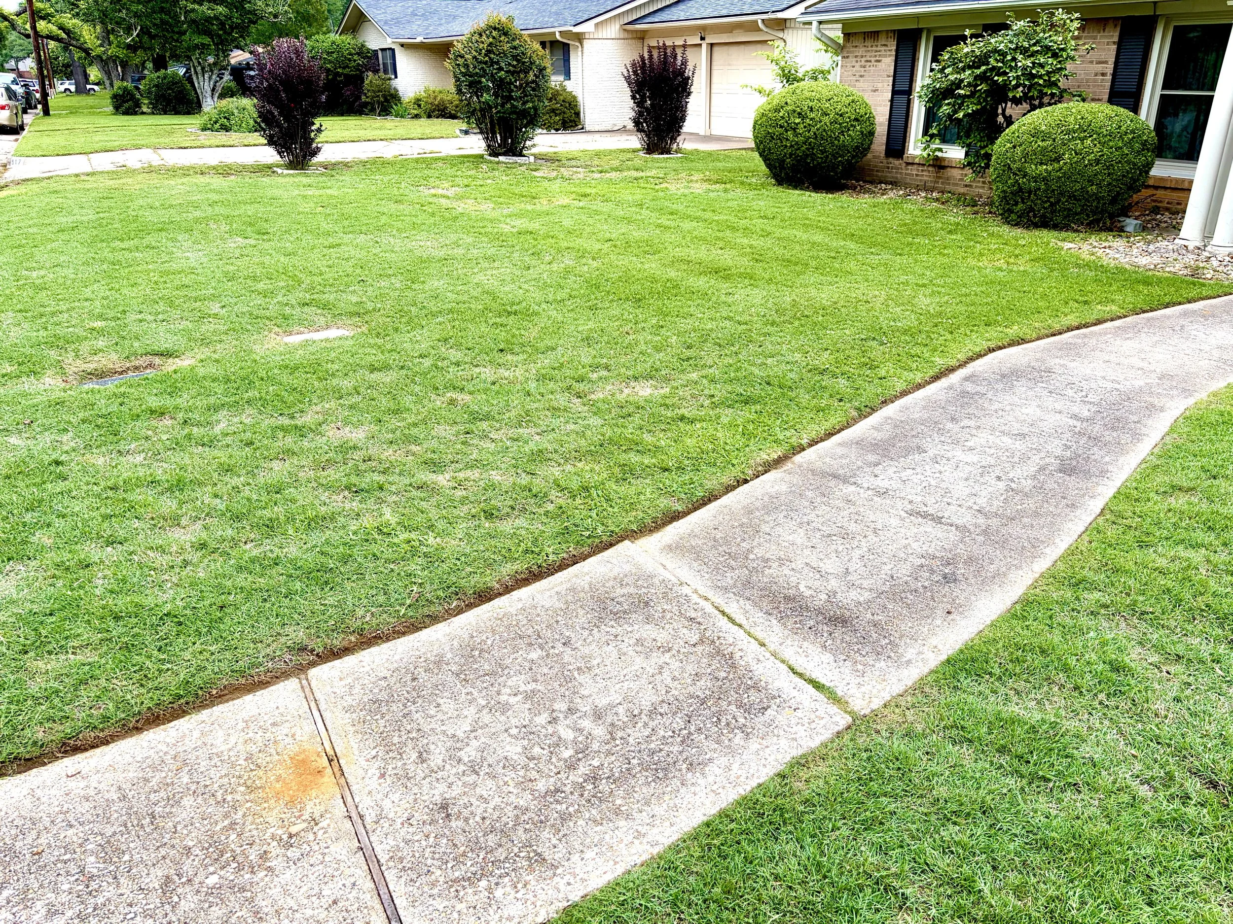 freshly mowed lawn with sidewalk edging