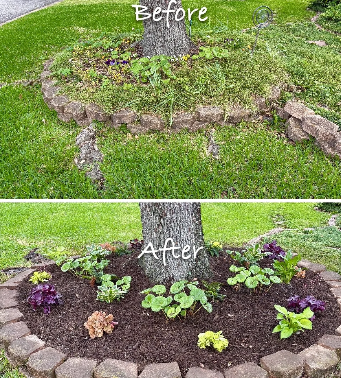 Before and after flower bed transformation Tyler TX