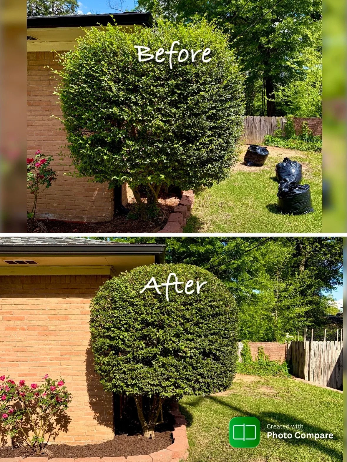 Before and after bush trimming and flower bed cleanup in East Texas