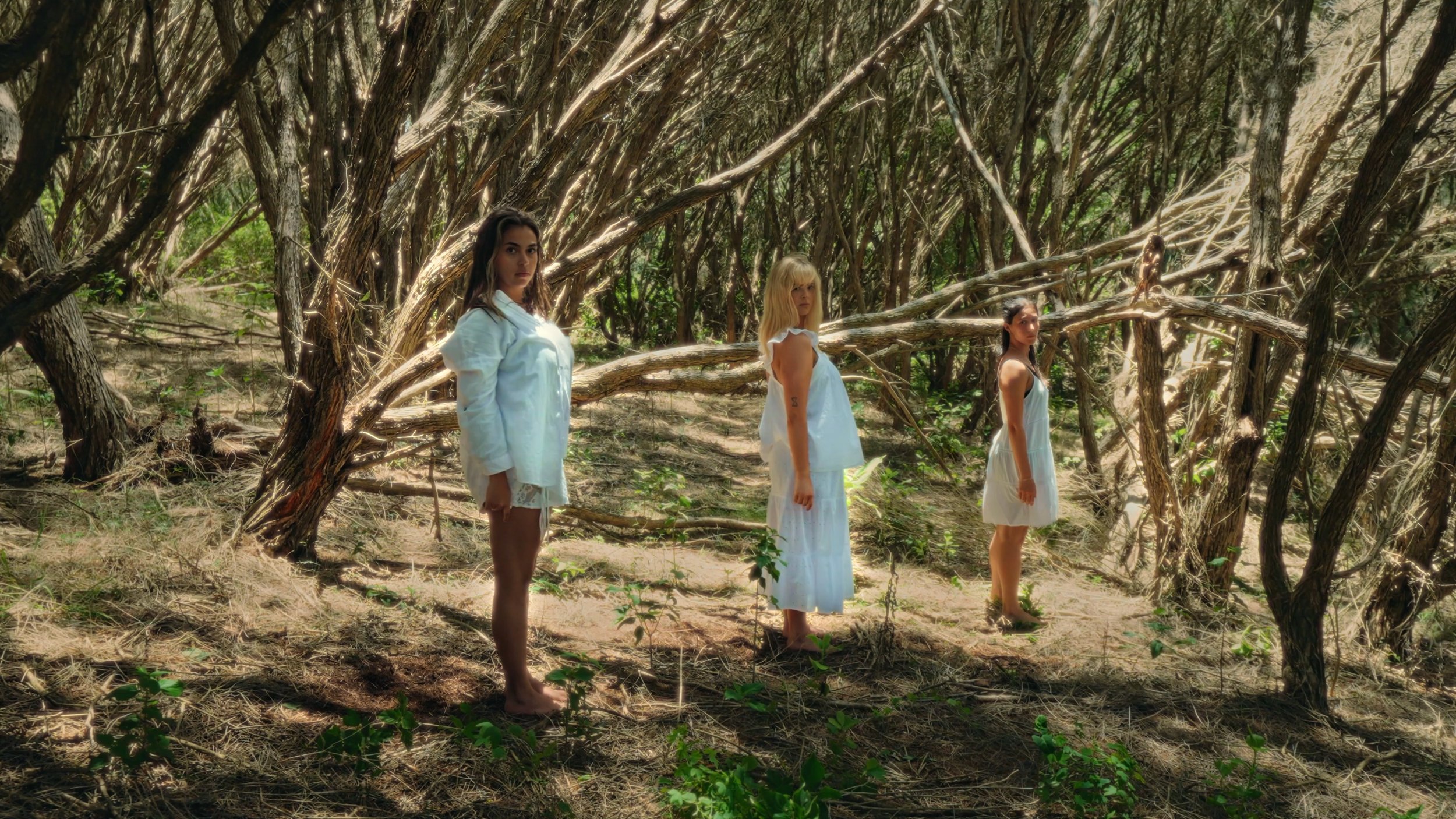 Stills- Final.00_01_29_04.Still033.jpg