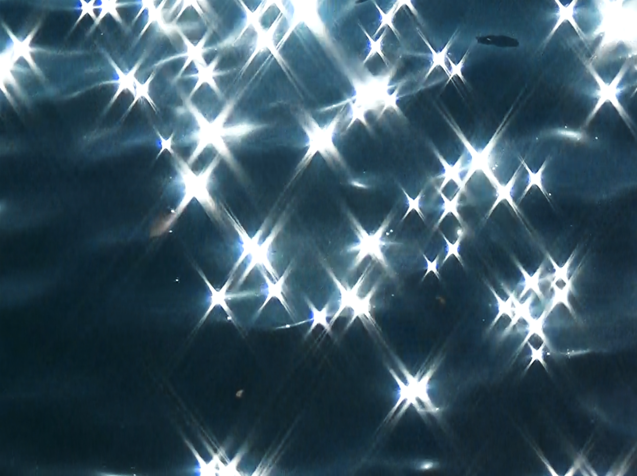 Screenshot 2026-01-07 131033.png