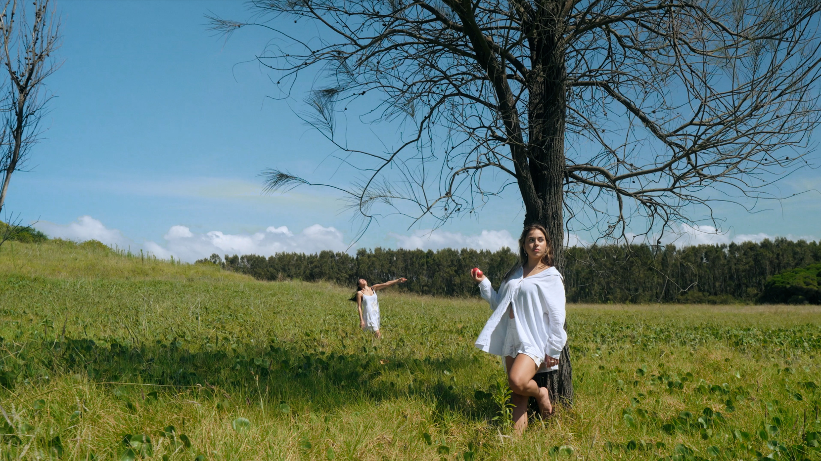 Dreams - Music Video