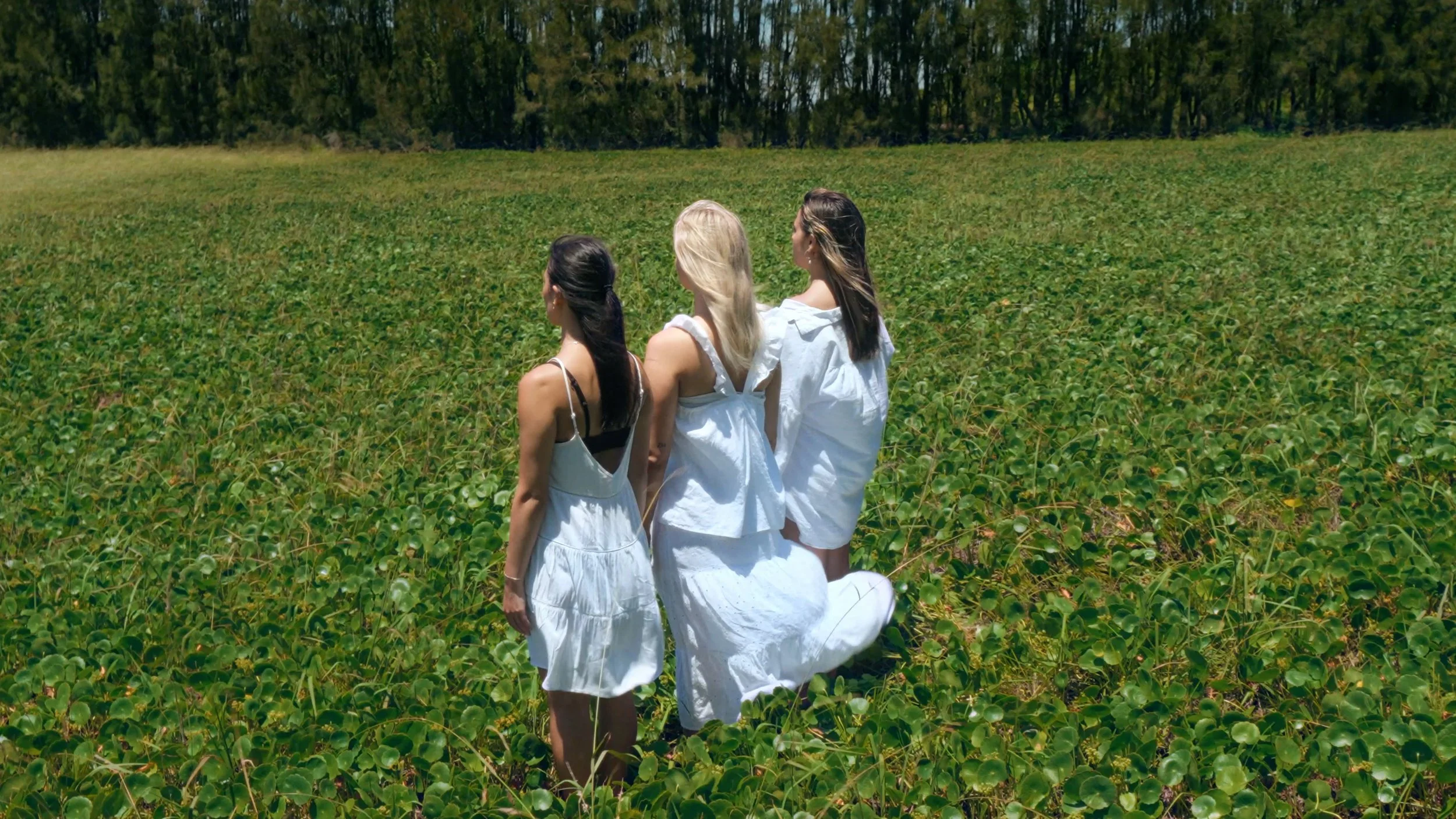 Stills- Final.00_01_47_05.Still040.jpg