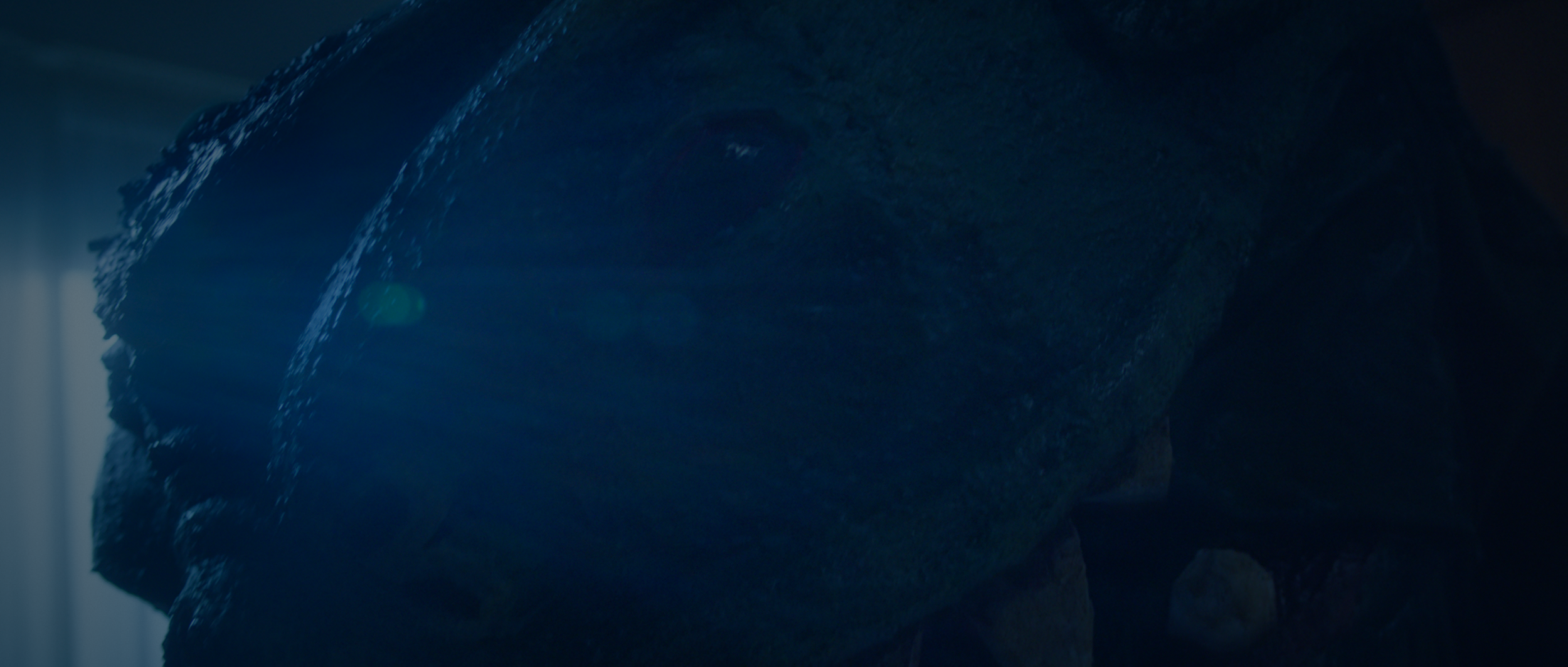 Still 2025-12-22 141644_1.165.1.png