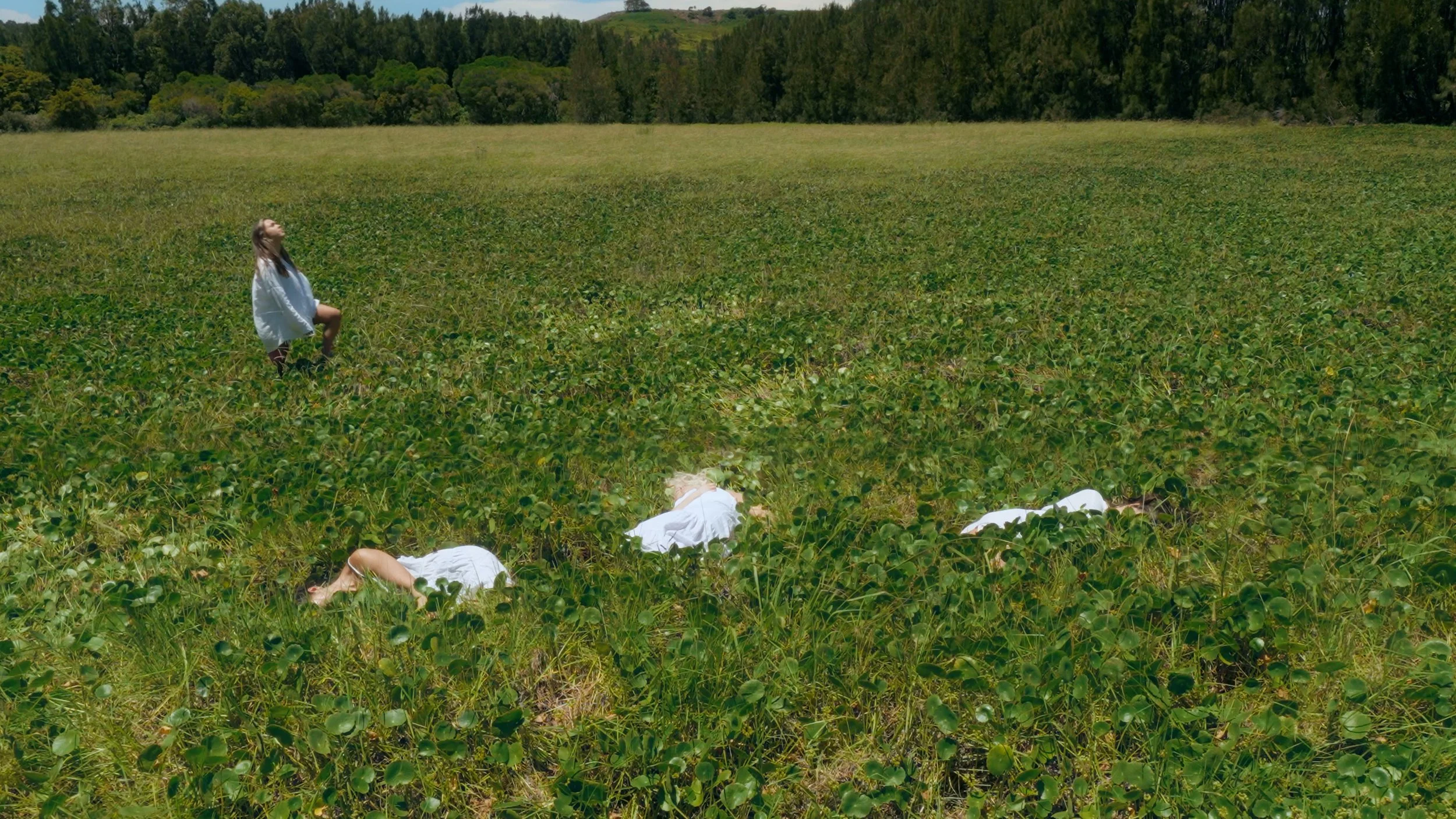 Stills- Final.00_02_00_08.Still045.jpg