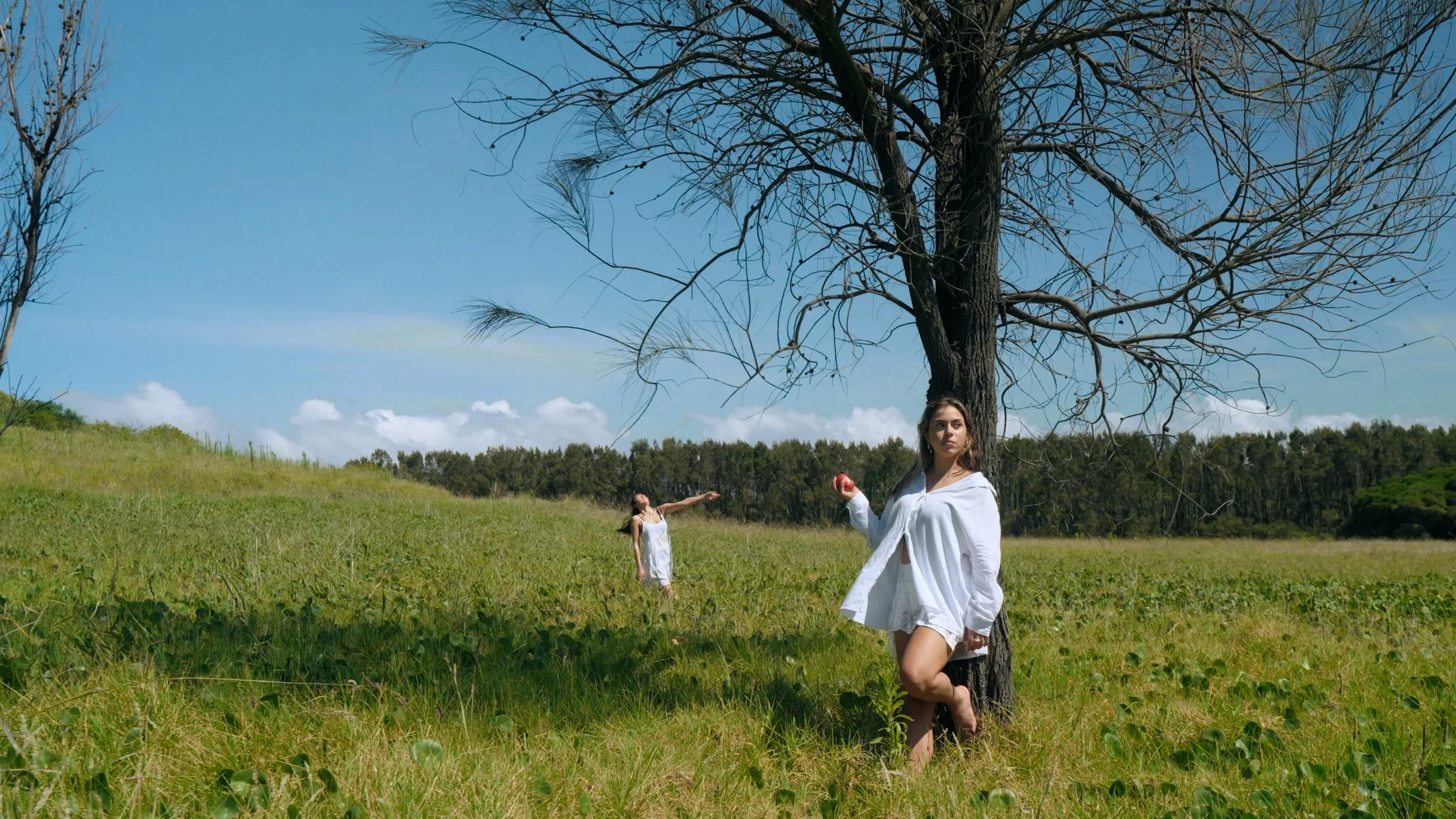 Stills- Final.00_00_50_06.Still014.jpg