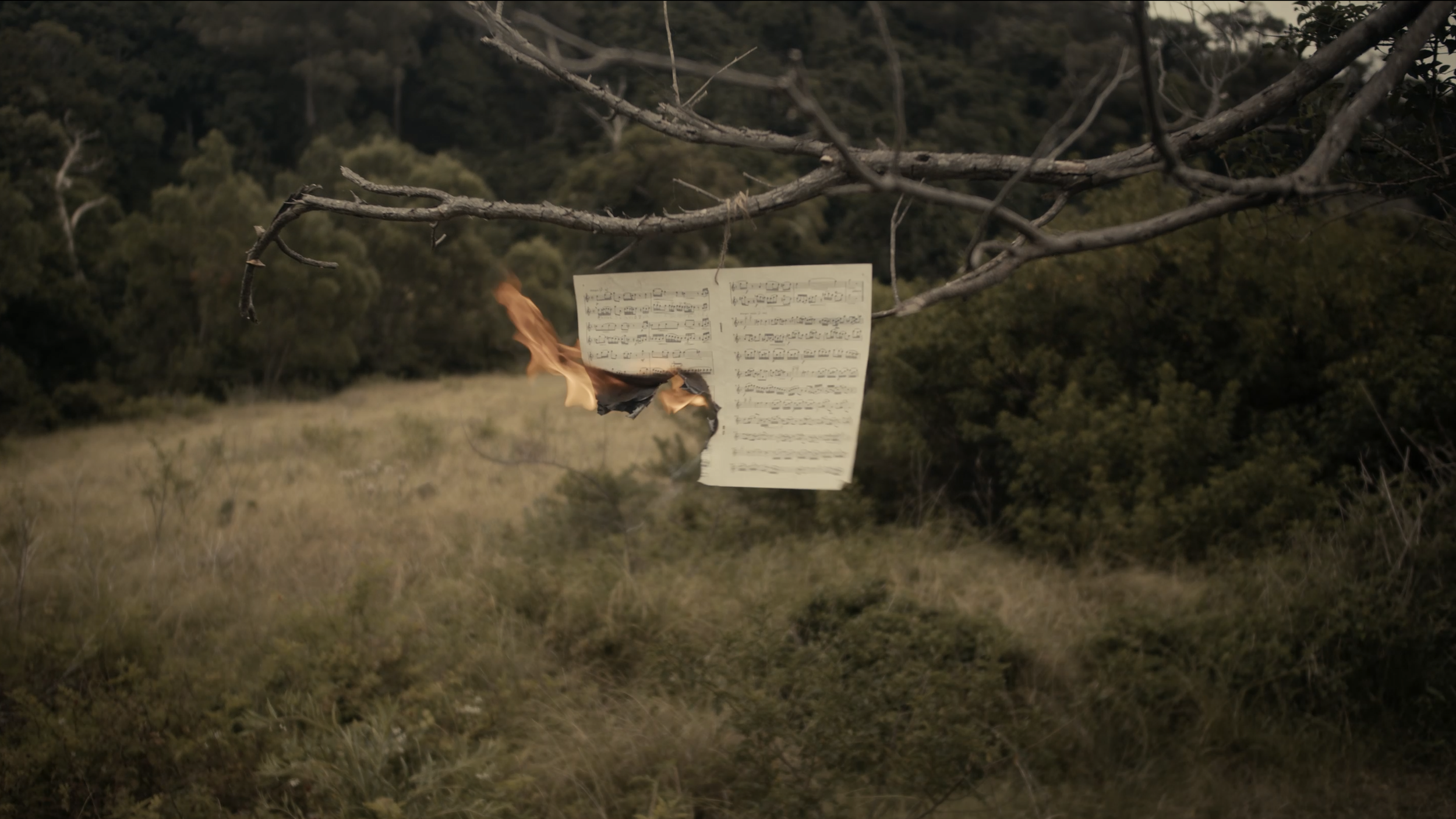 Screenshot 2026-04-16 at 4.41.13 pm.png