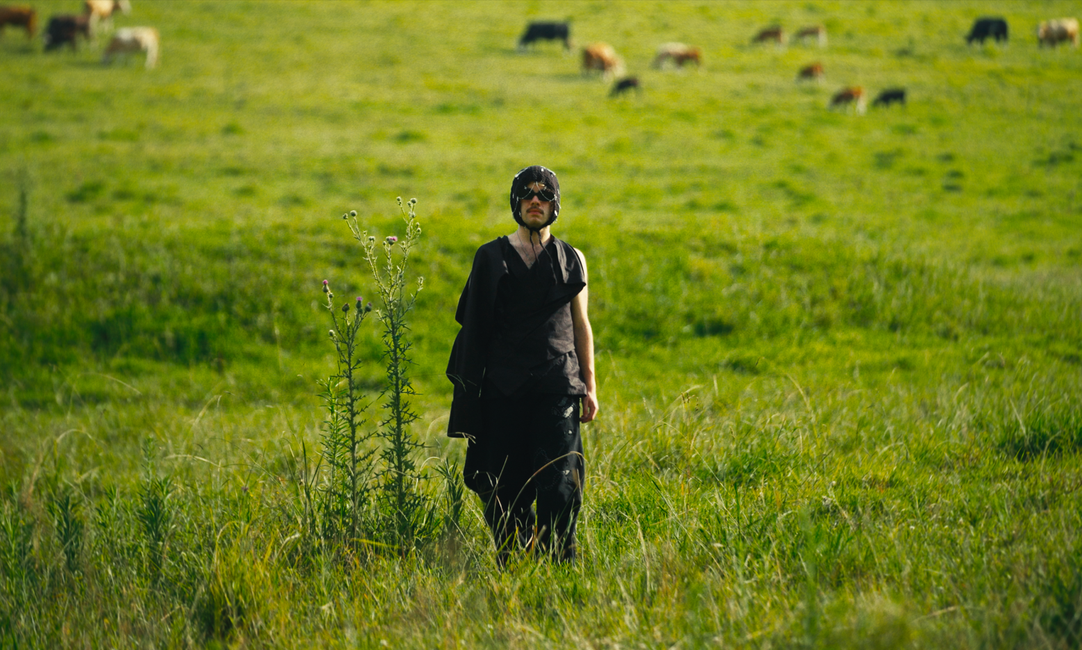 Screenshot 2026-01-06 164737.png