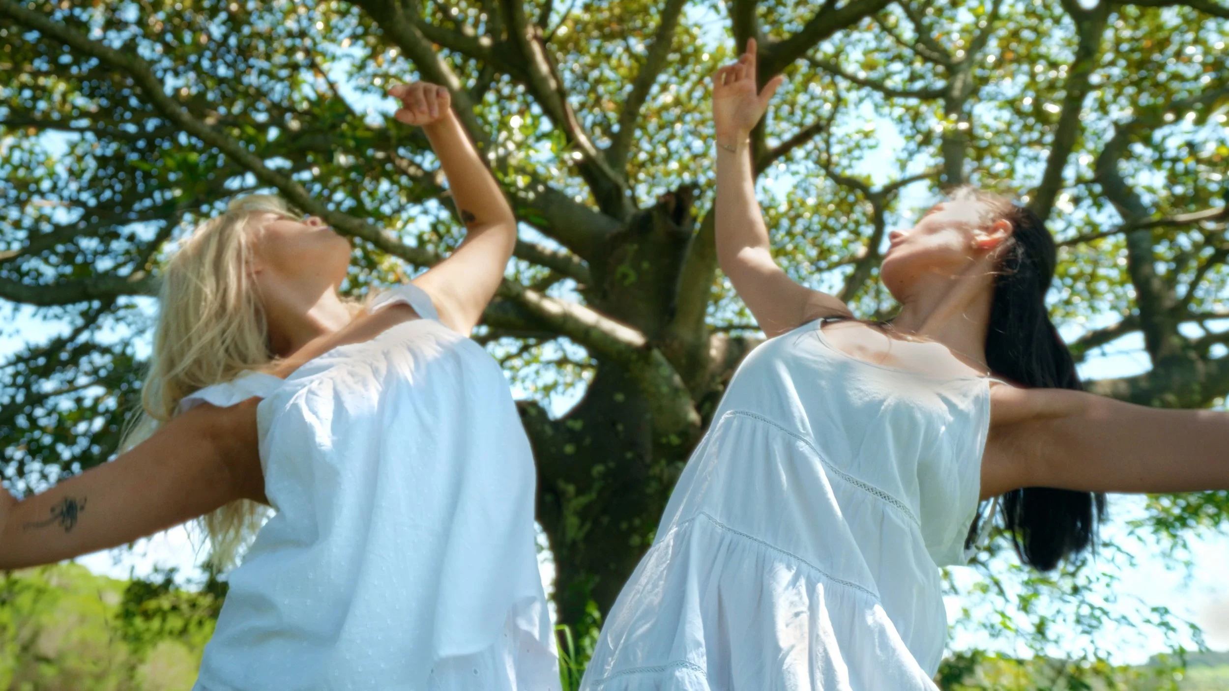 Stills- Final.00_01_05_20.Still048.jpg