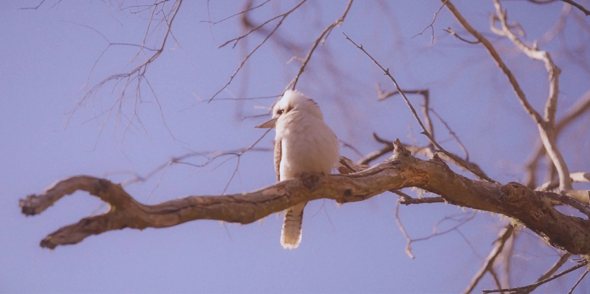 TRUST FINAL CUT Copy 01.00_04_28_13.Still040.jpg