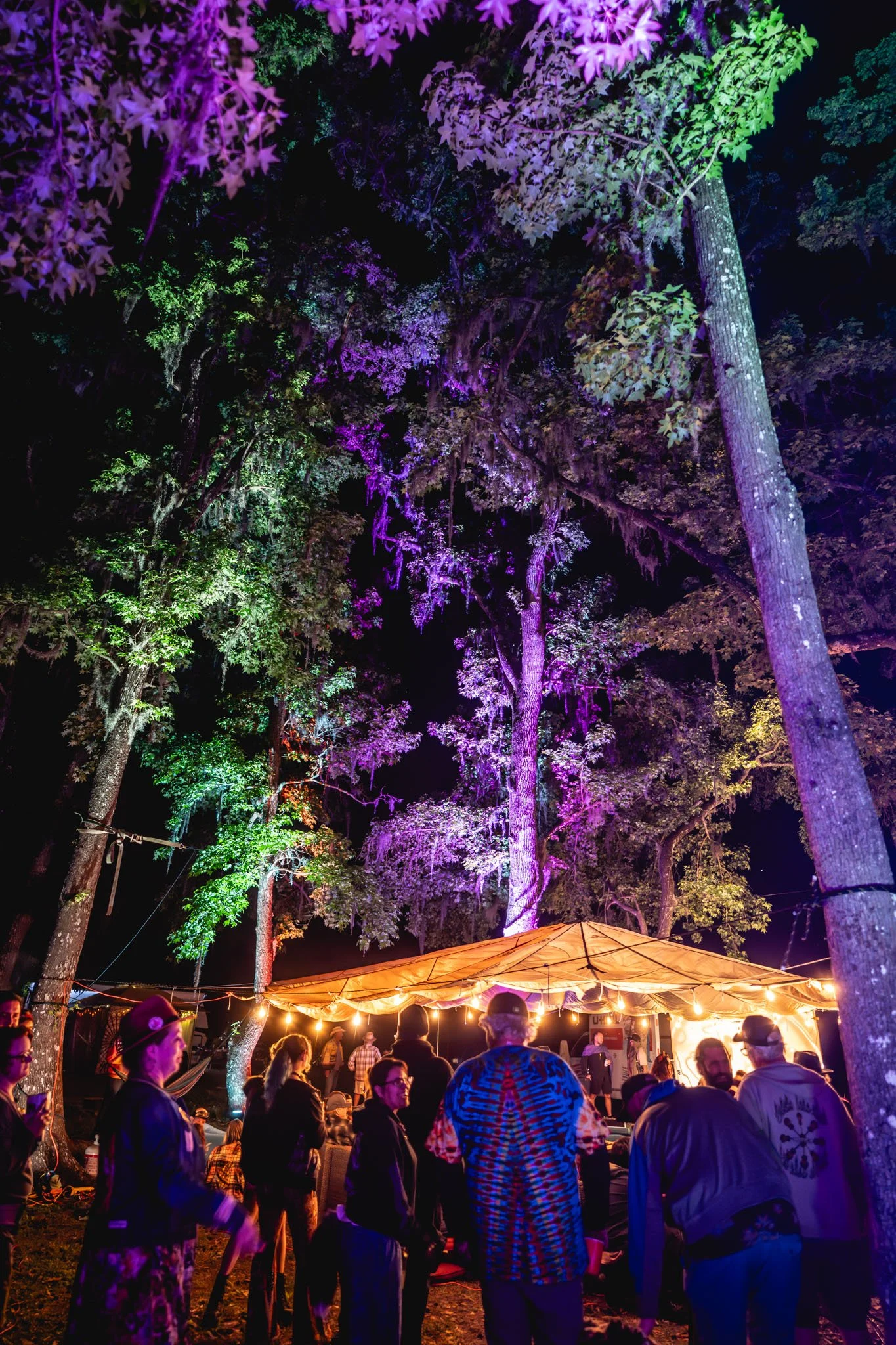 The Hometeam parachute. And Colorful site lighting by Mike Traini