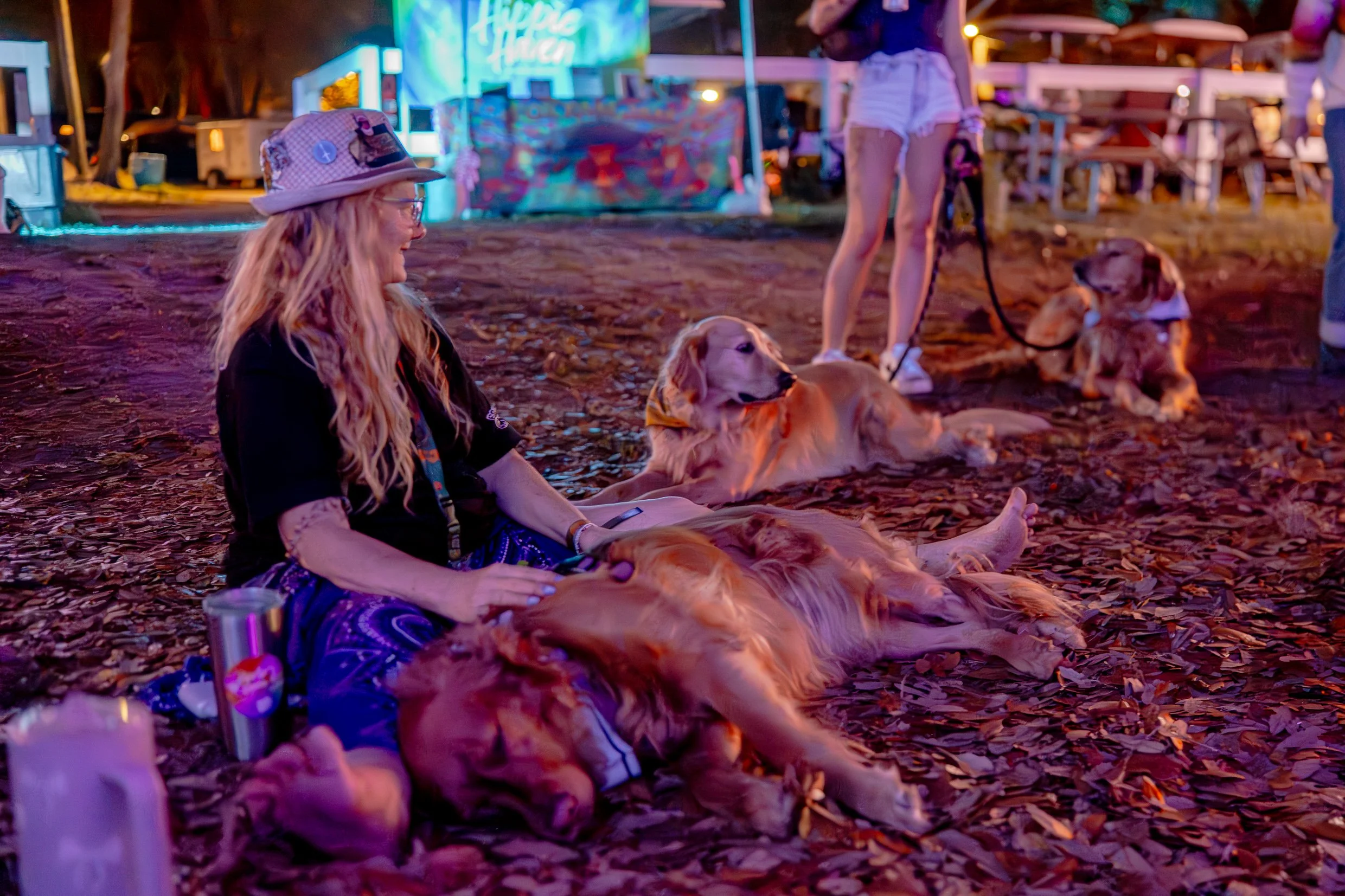 Wendy hangs with the triplet goldens