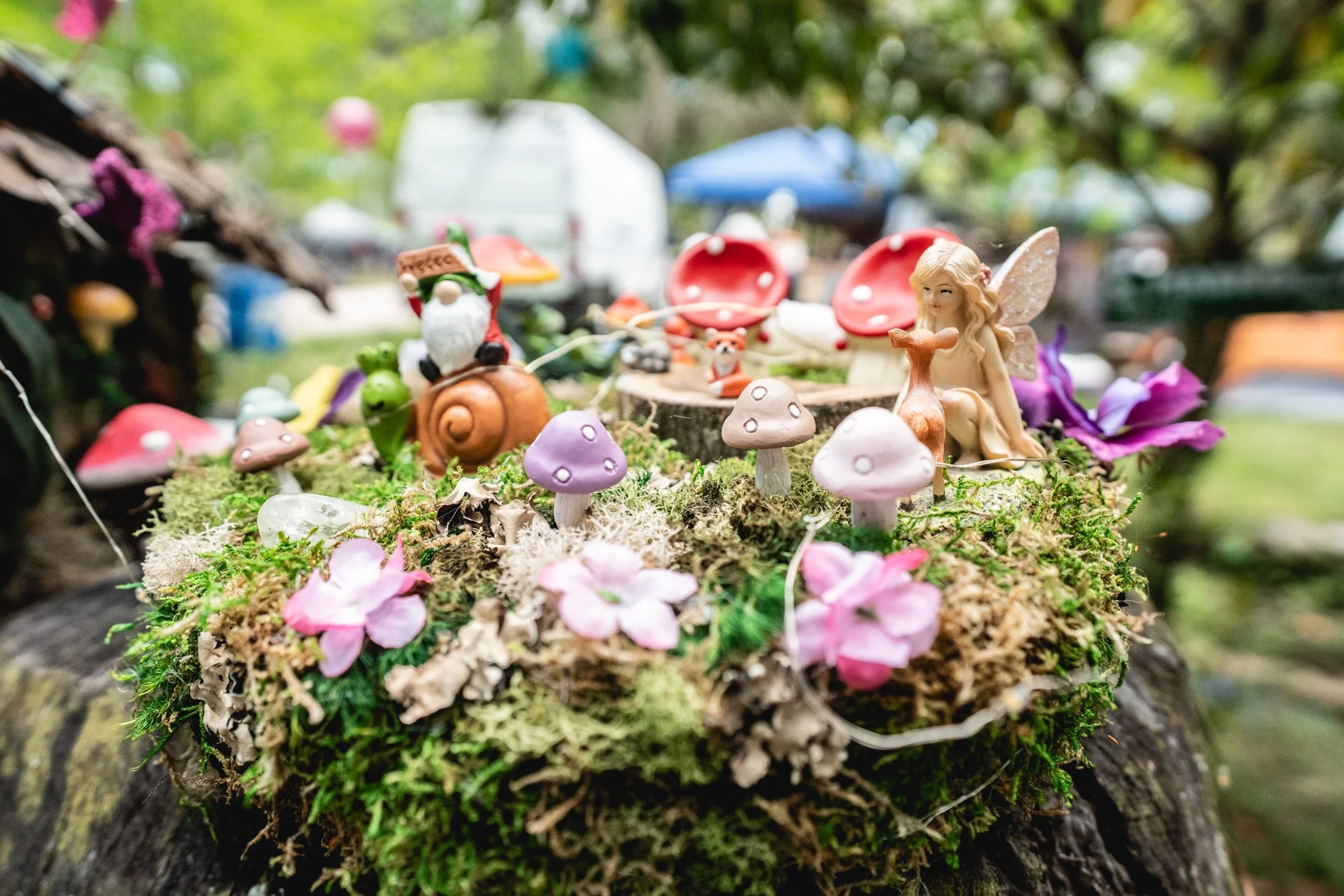 A fairy Garden at Fox Fam Jam