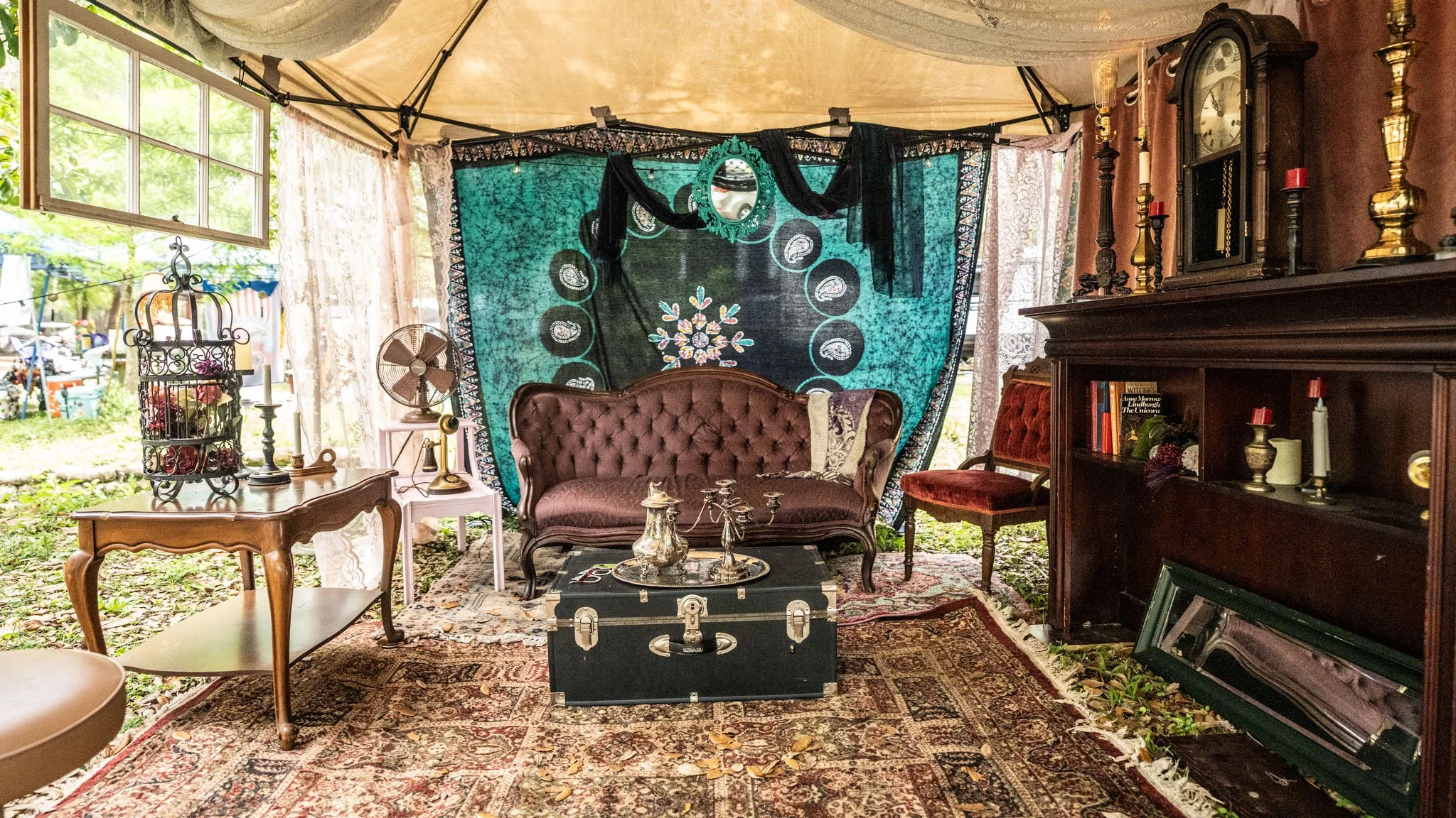 The Shady Sanctuary