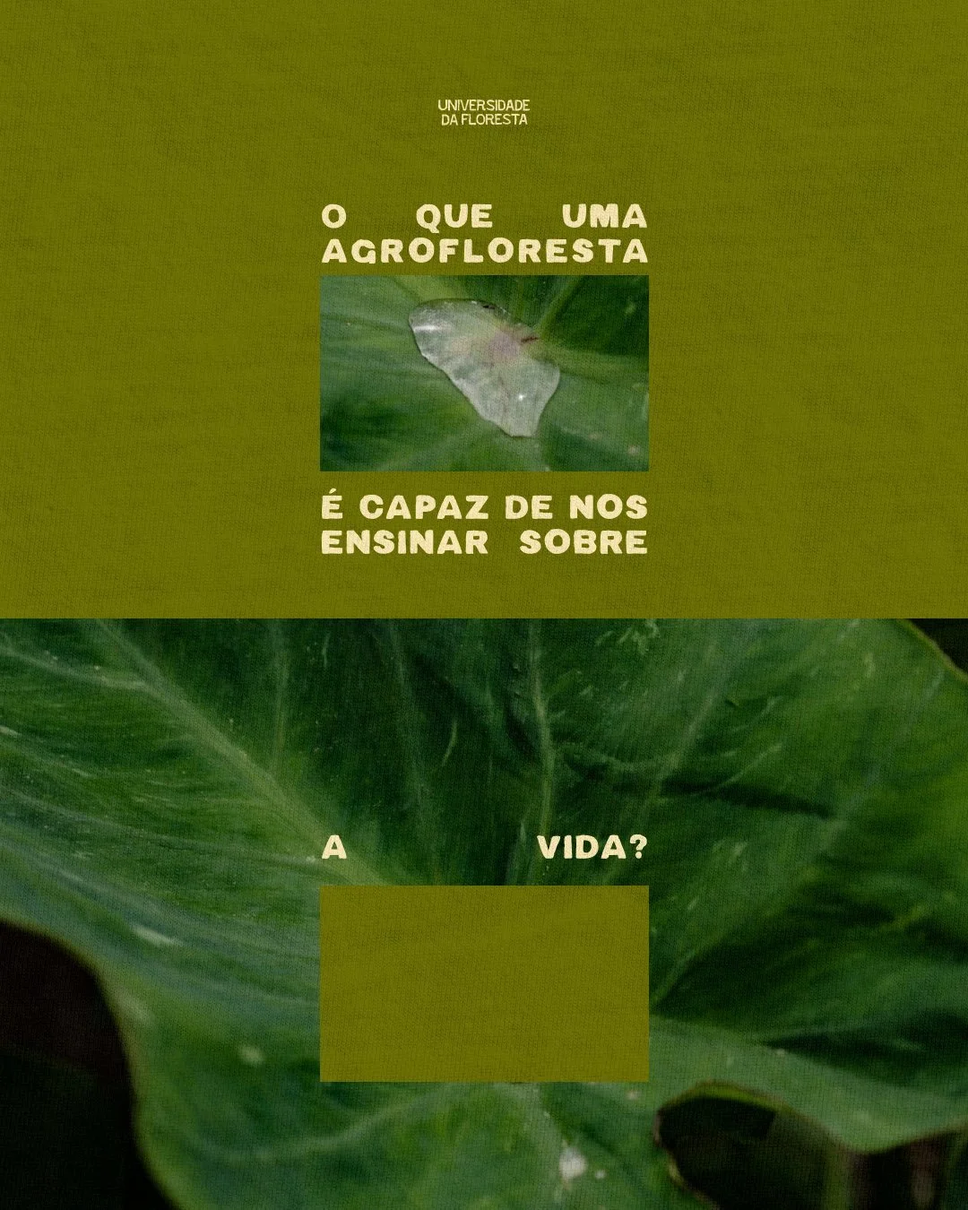 O que mais voc&ecirc; j&aacute; aprendeu com a terra?