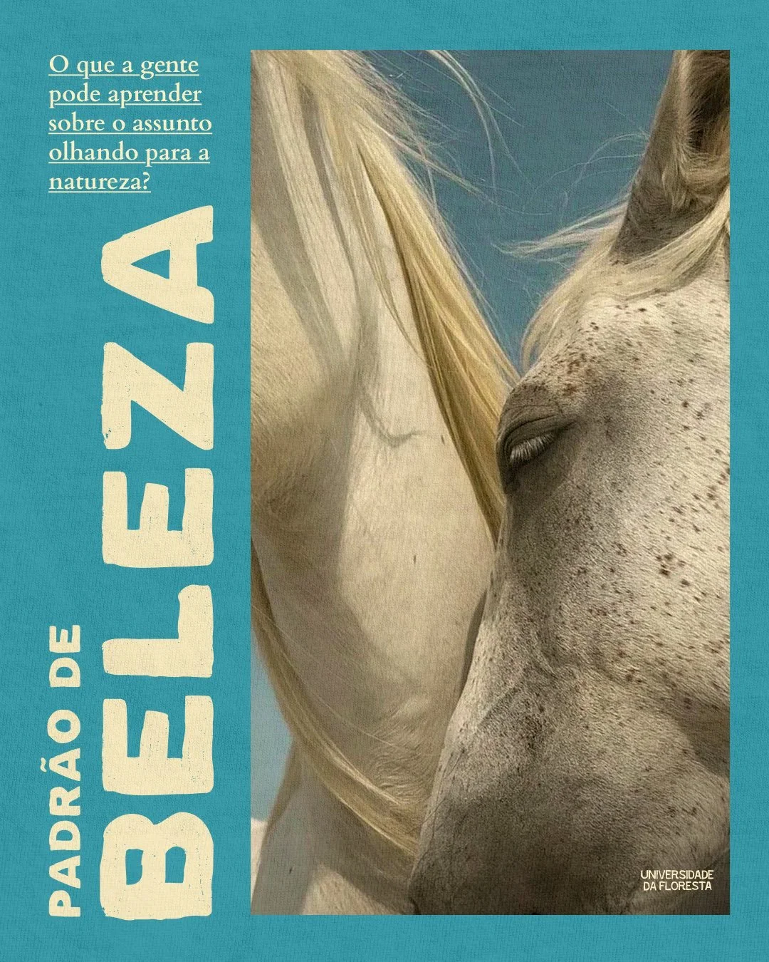 Ser&aacute; que a beleza mora nos olhos de quem a percebe?

Onde voc&ecirc; v&ecirc; beleza?
