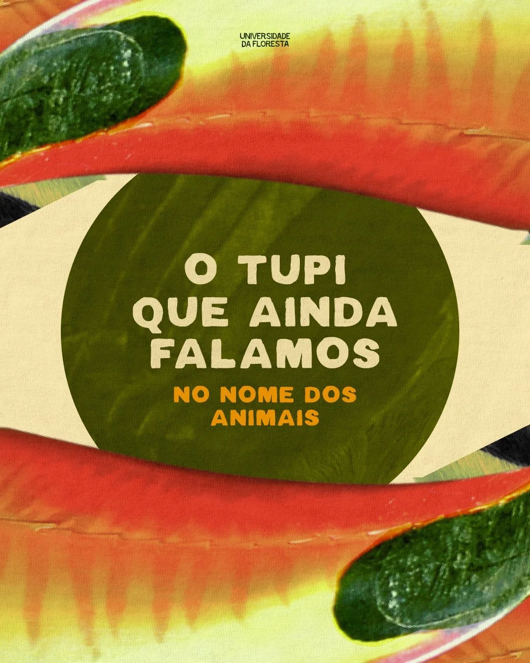 Que palavras do mundo natural voc&ecirc; conhece em tupi?