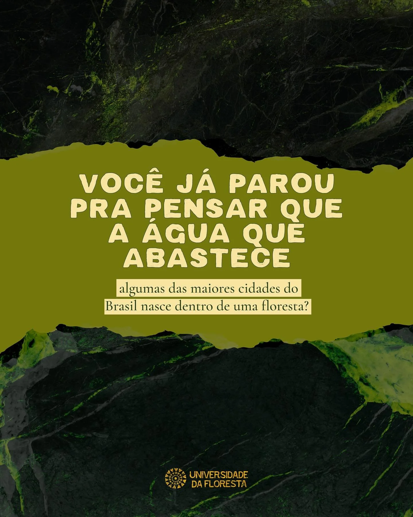 N&atilde;o existe cidade sem floresta. 

Neste Dia Nacional da Mata Atl&acirc;ntica, fica o lembrete: tudo que afeta o mundo natural afeta voc&ecirc;.
