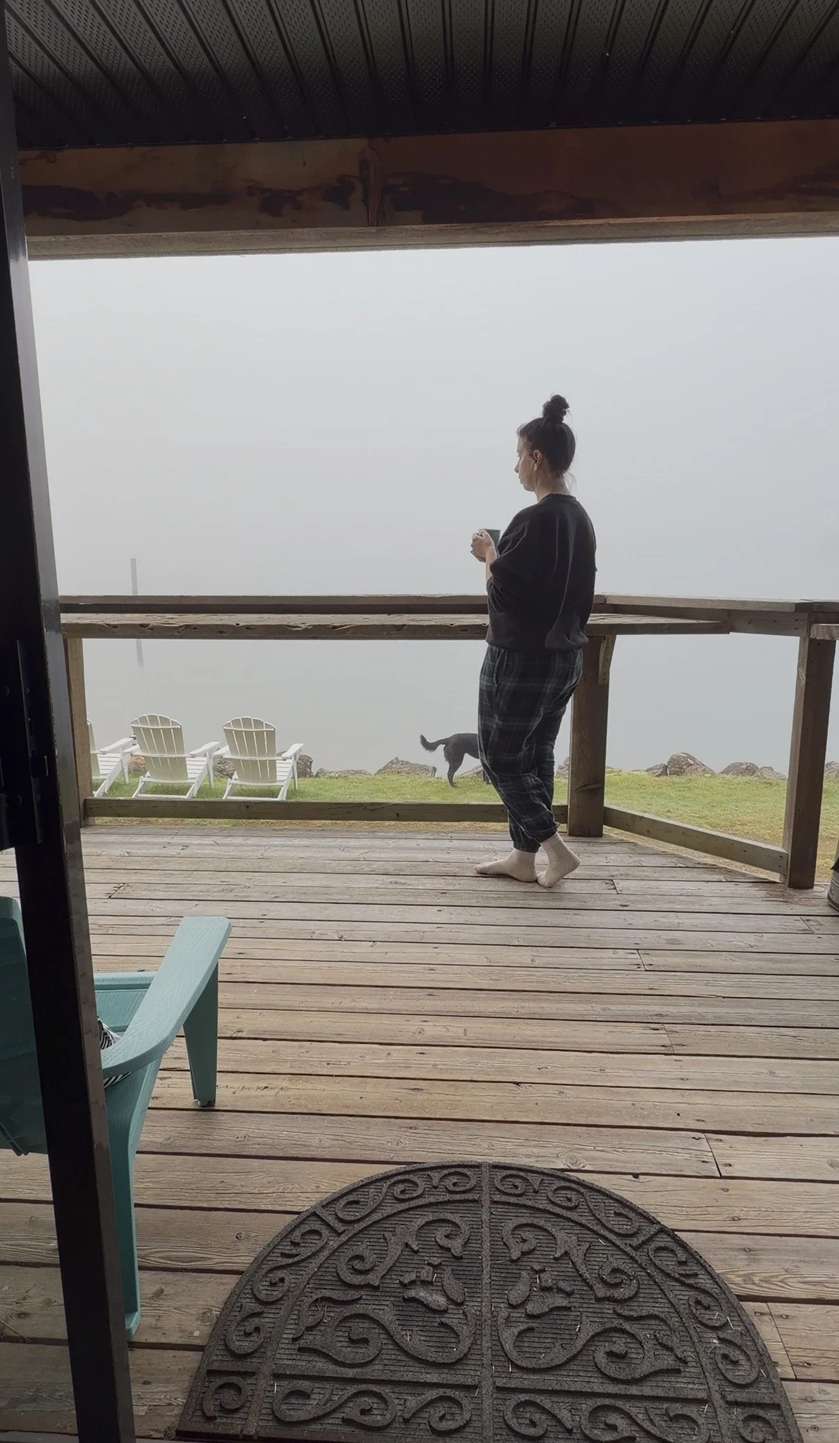 Kindness in a Car Accident.