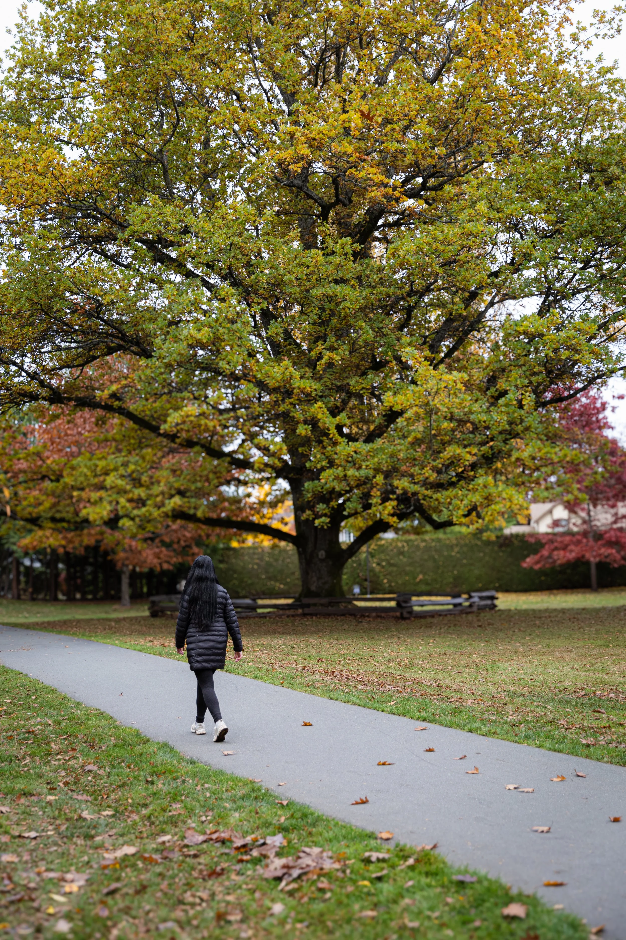 Make The Plan and Hope to Never Need It.