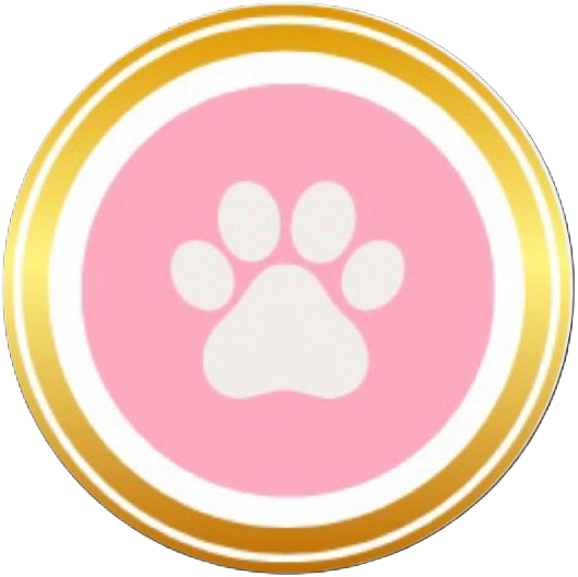 Party Pups by Pudgy Pups Canada logo with a white paw in a pink and gold circle, symbolizing fun, rescue, and puppy party joy.
