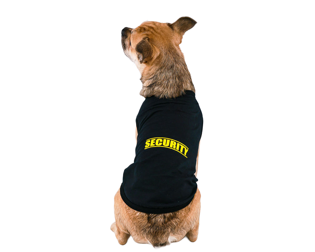 Small brown rescue dog wearing a black “Security” shirt, adding fun and personality to your rescue puppy party experience through Party Pups by Pudgy Pups Canada.