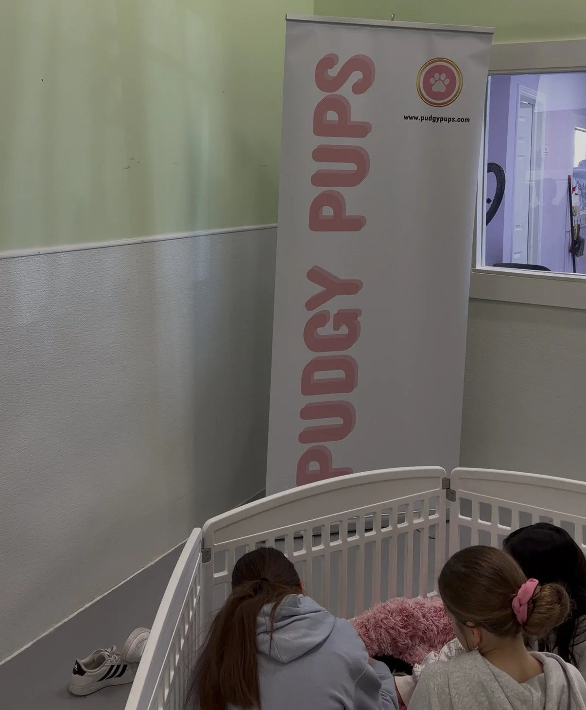 A group of children sit inside a white playpen in front of a “Pudgy Pups” banner at an at home puppy party with Party Pups. The room is softly lit and filled with laughter and puppy love as part of the experience.