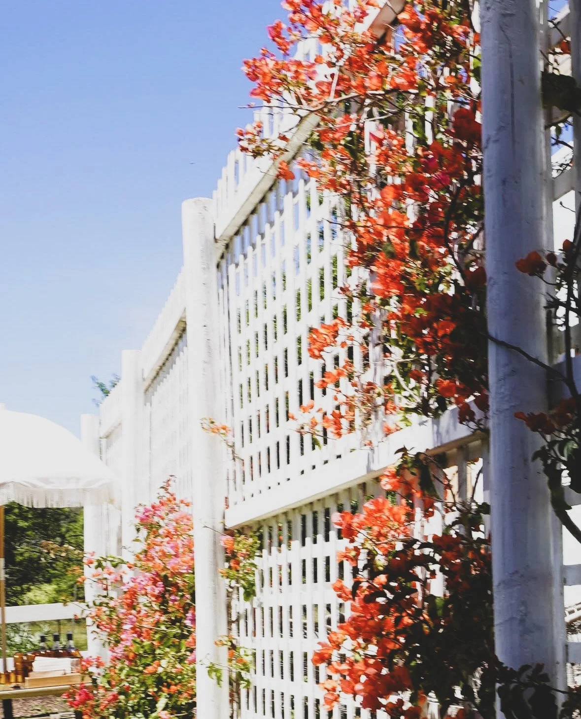 Details - Down The Rabbit Hole winery- McLaren Vale, S.A