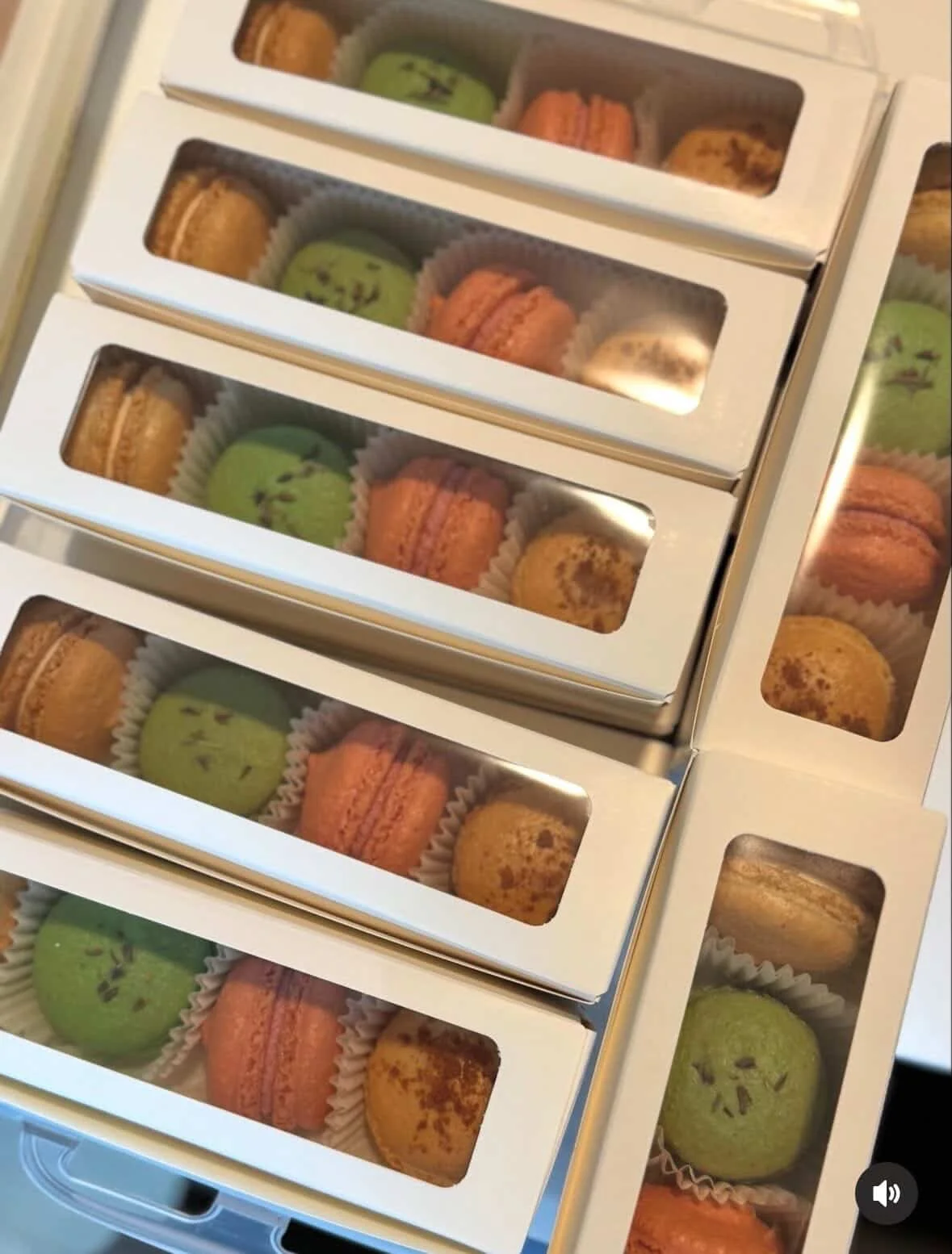 Macarons - 4 Pack