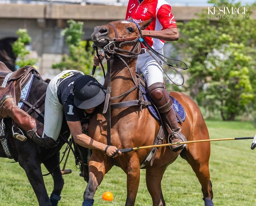 A polo player on a brown horse, holding a mallet, with a fallen opponent and a ball on the grass field during a match.