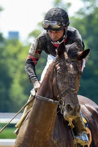 Jockey riding a horse on a race track with green trees in the background.