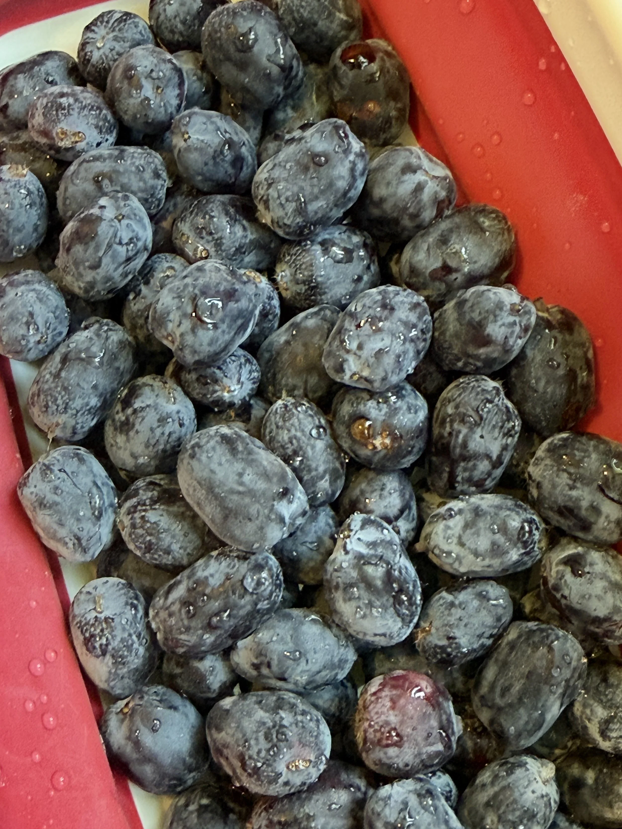 Close-up of fresh Haskap with water droplets in a red and white container.