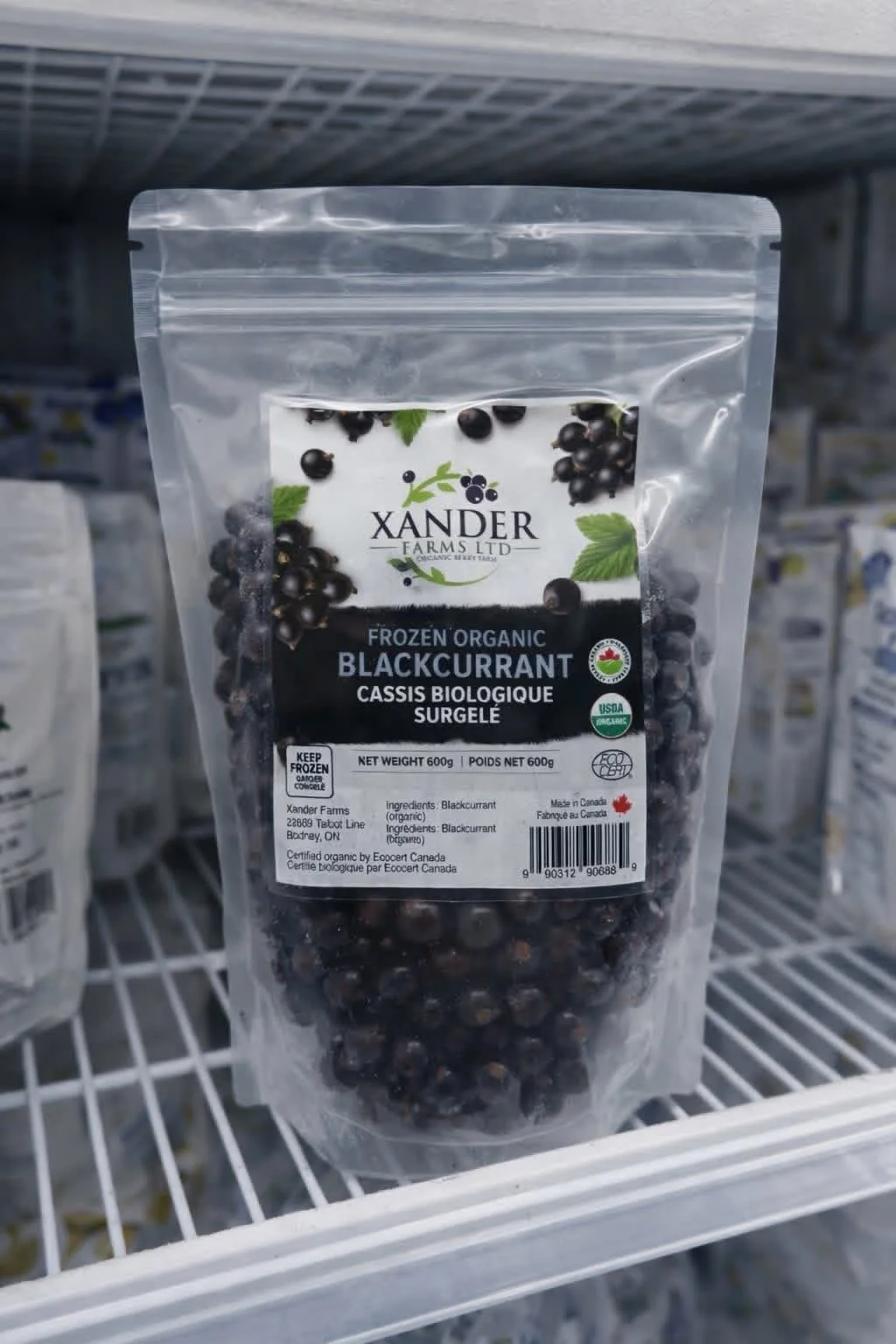 Organic Black Currant — Frozen