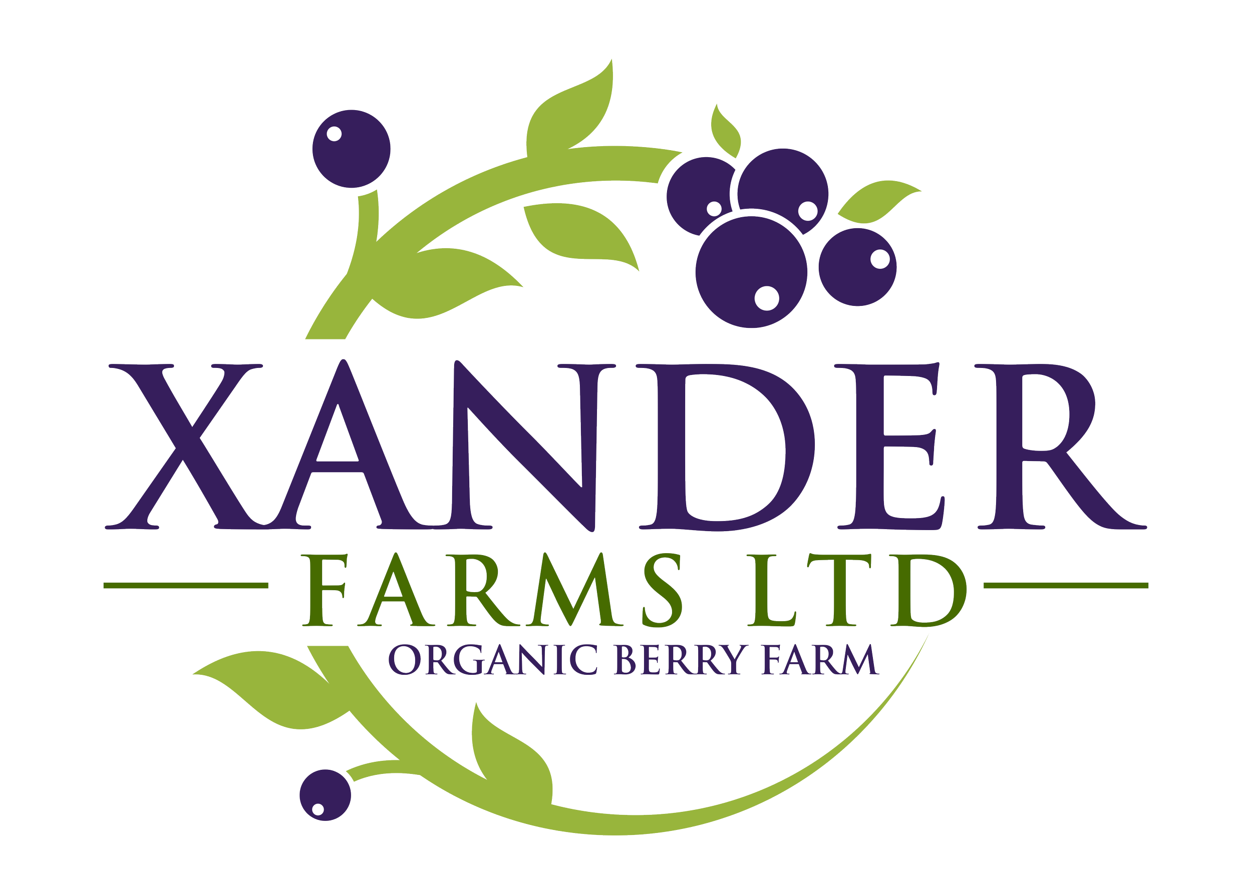 Logo for Xander Farms Ltd featuring a stylized purple and green berry with the text 'Xander Farms Ltd Organic Berry Farm'.