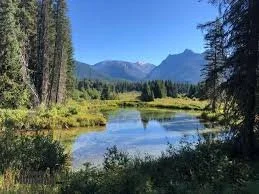 A scenic view of a river flowing through a lush green landscape with tall trees, mountains in the background, and a clear blue sky.