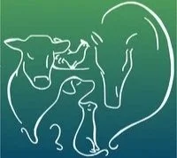 Outline drawing of three dogs and a human facing each other against a green background.