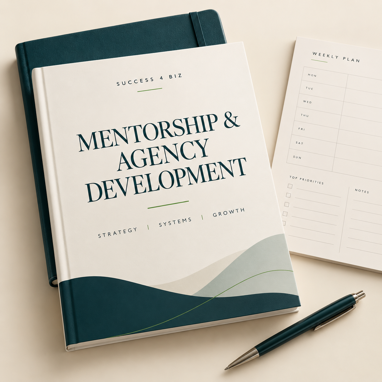 Mentorship & Agency Development Package