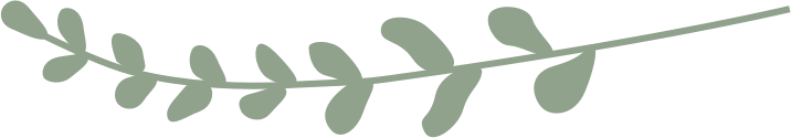 A simple illustration of a green leafy plant branch with oval-shaped leaves.
