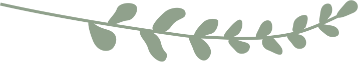 Light green stem overlay with leaves