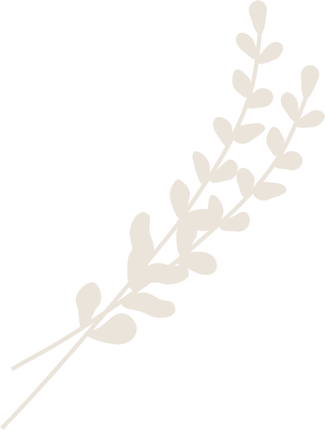 Overlay of two stems with leaves