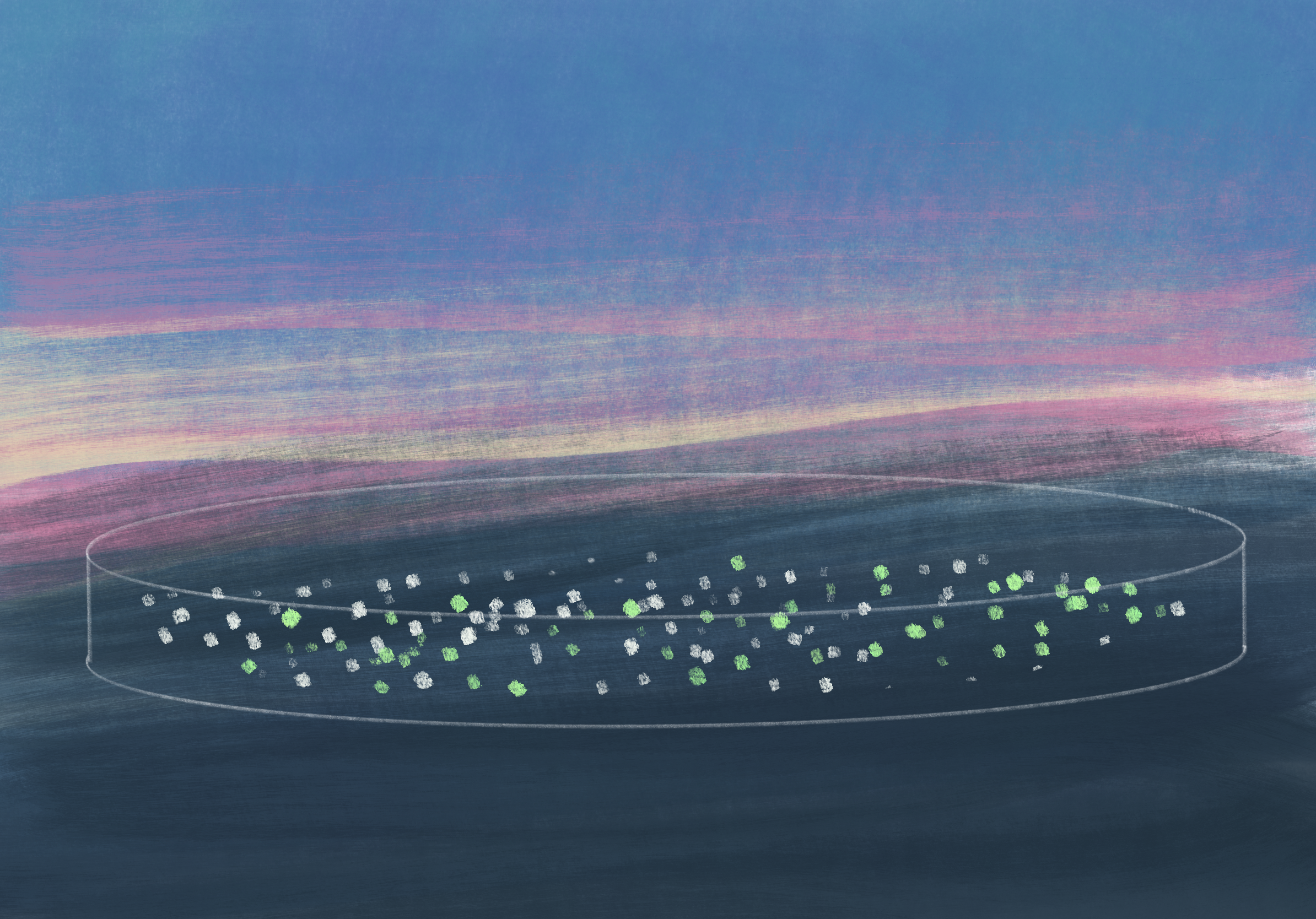 glowing colonies or city lights 