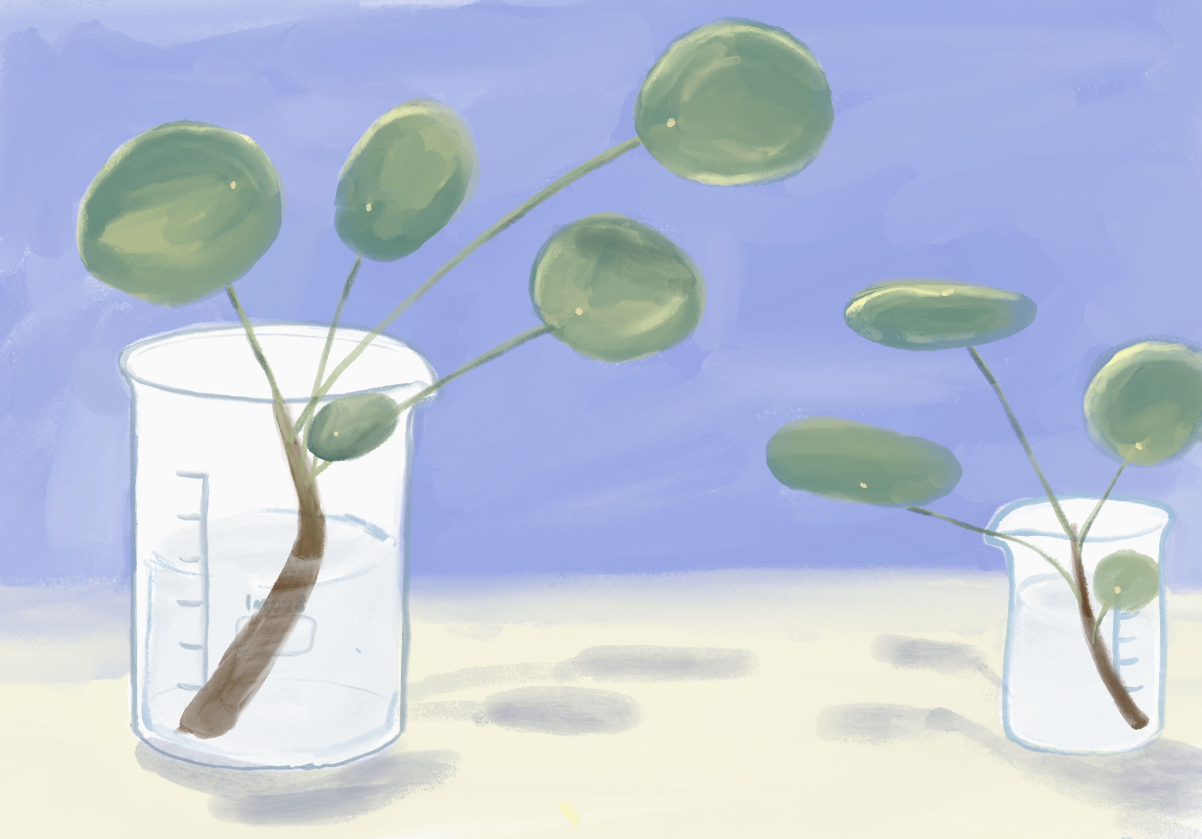 Untitled_Artwork 1 copy 2.png