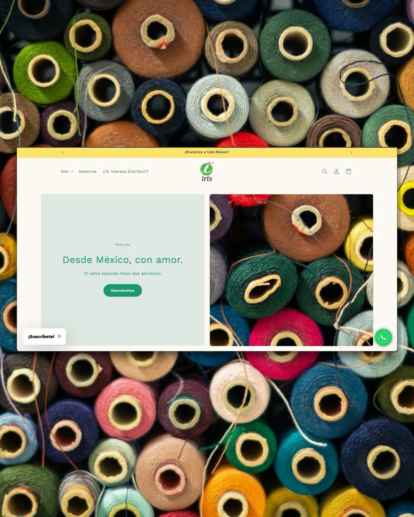 ↳ website for @hilosiris