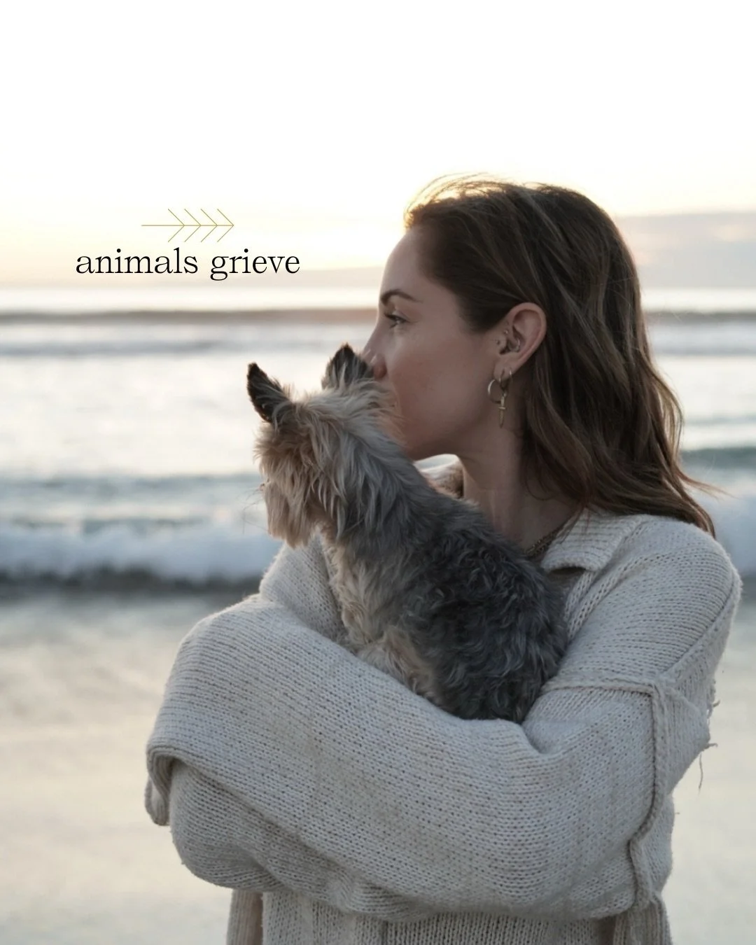 Animals grieve. Not in words, but in presence, memory, and devotion 🕊️

Grief is not uniquely human.
It is ancient.
It is relational.
It is love continuing.

If nature makes space for grief,
perhaps we&rsquo;re meant to, too.

#griefeducation
#grief
