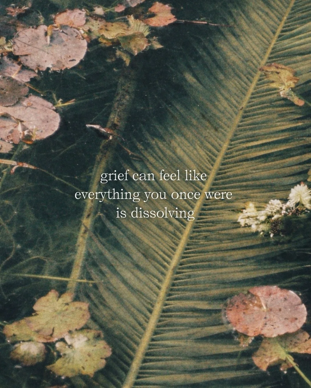 Grief can feel like everything familiar is dissolving&hellip;

The life you imagined.
The person you once were.
The future you thought you&rsquo;d have.

But transformation in nature looks similar. Inside the chrysalis, the caterpillar dissolves comp